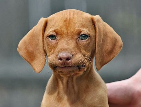 1f4a6d6536793f713367d9e2a70cf8dc